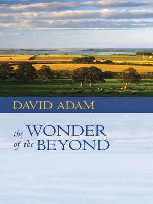 cover image of The Wonder of the Beyond